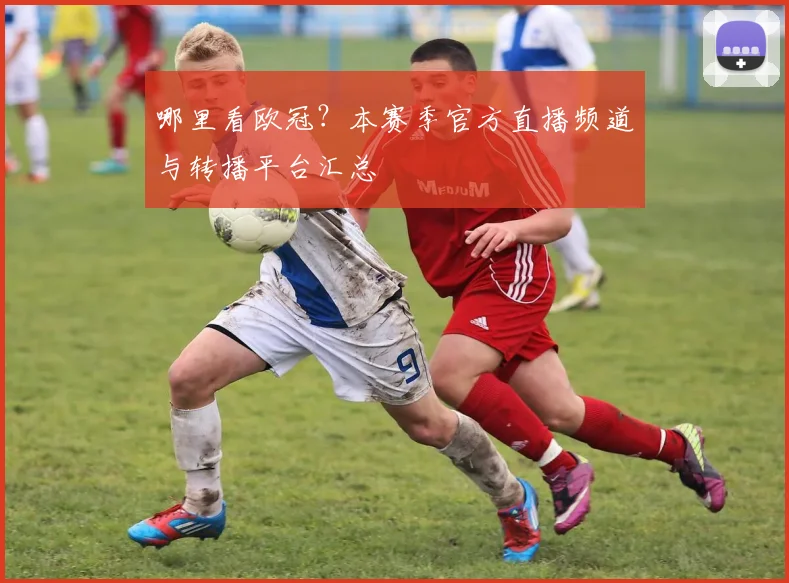 哪里看欧冠？本赛季官方直播频道与转播平台汇总