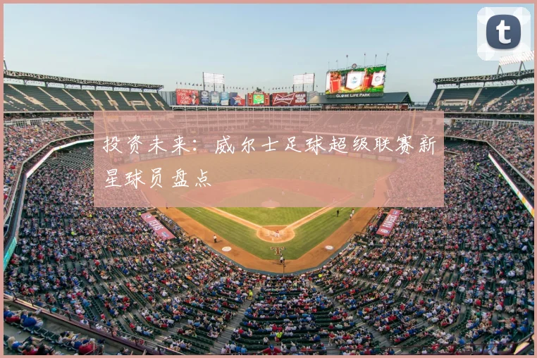 投资未来：威尔士足球超级联赛新星球员盘点