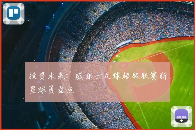 投资未来：威尔士足球超级联赛新星球员盘点