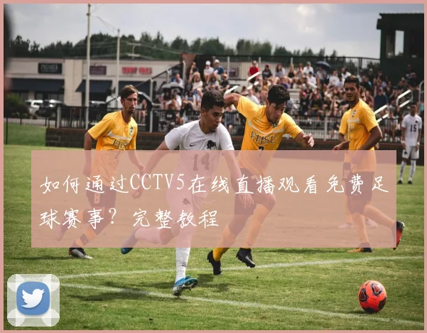 如何通过CCTV5在线直播观看免费足球赛事？完整教程