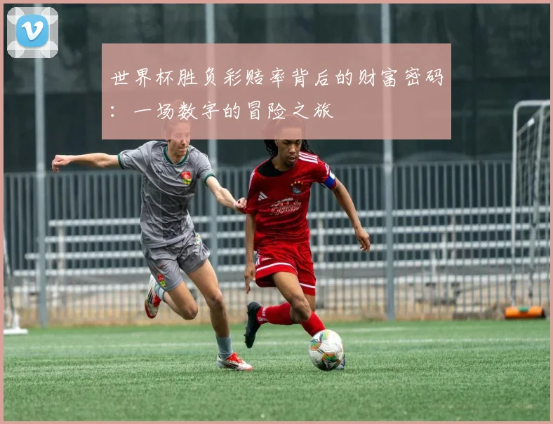 世界杯胜负彩赔率背后的财富密码：一场数字的冒险之旅