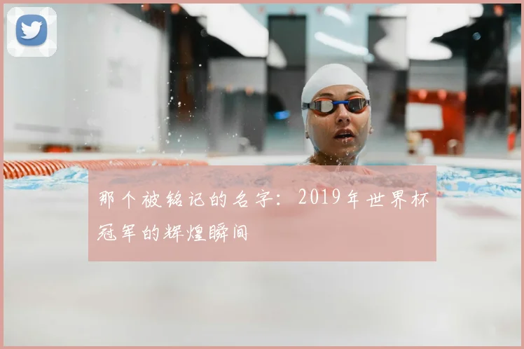 那个被铭记的名字：2019年世界杯冠军的辉煌瞬间