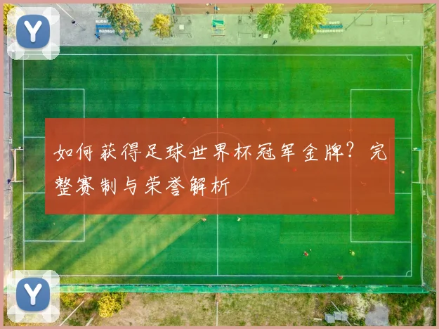 如何获得足球世界杯冠军金牌？完整赛制与荣誉解析