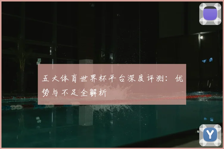 五大体育世界杯平台深度评测：优势与不足全解析