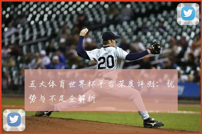 五大体育世界杯平台深度评测：优势与不足全解析