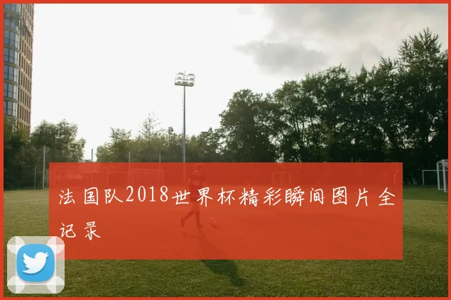 法国队2018世界杯精彩瞬间图片全记录