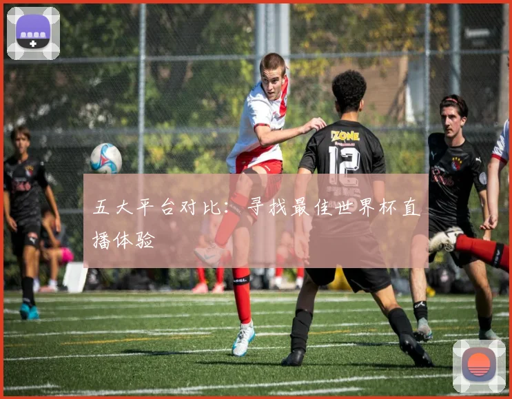 五大平台对比：寻找最佳世界杯直播体验