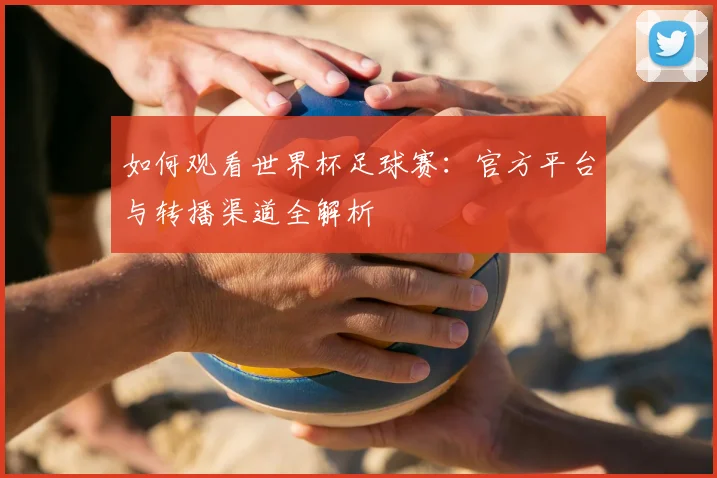 如何观看世界杯足球赛：官方平台与转播渠道全解析