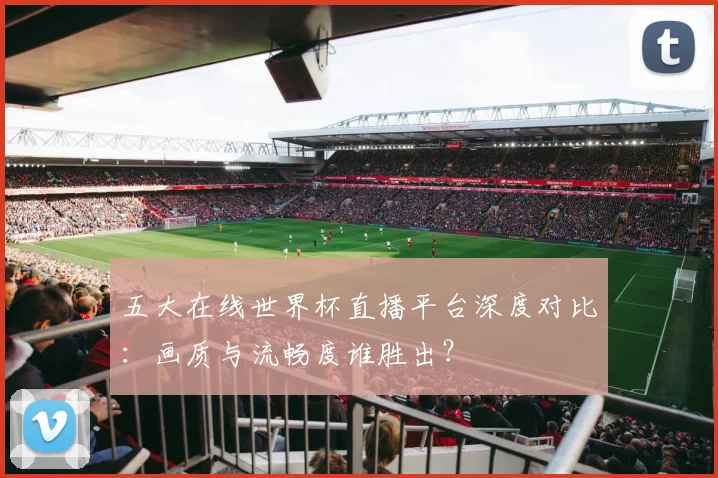 五大在线世界杯直播平台深度对比：画质与流畅度谁胜出？