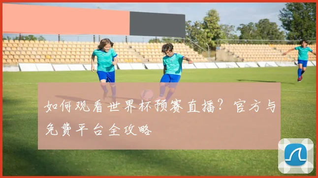 如何观看世界杯预赛直播？官方与免费平台全攻略