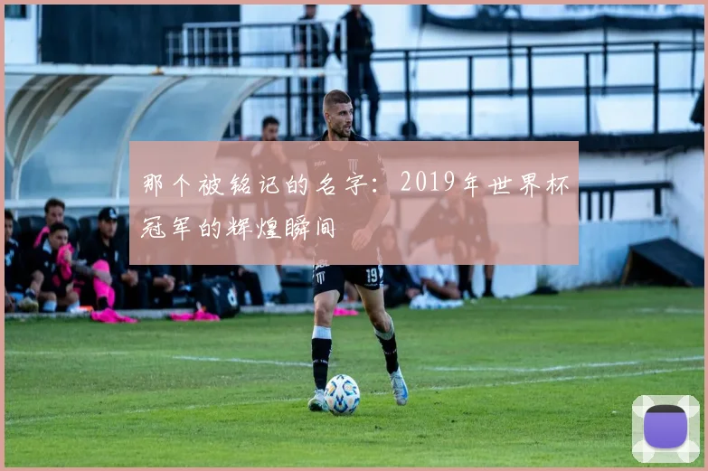 那个被铭记的名字：2019年世界杯冠军的辉煌瞬间