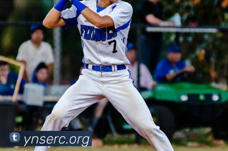 博雅app官方下载入口服务体系